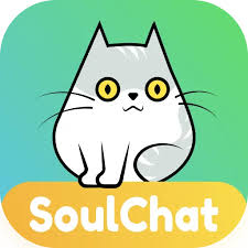 سول شات/ SoulChat